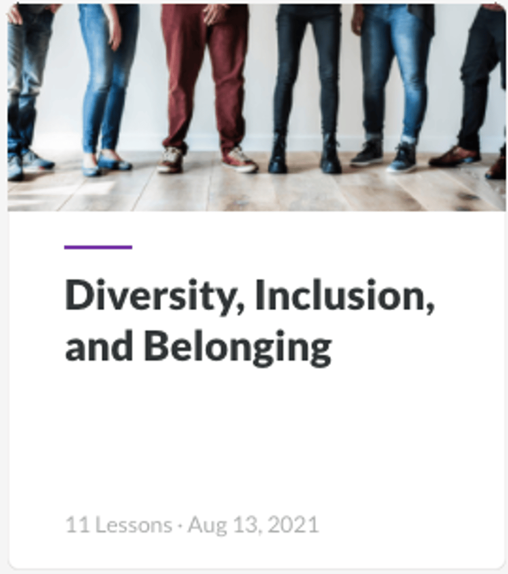 Diversity, Inclusion, and Belonging Training 